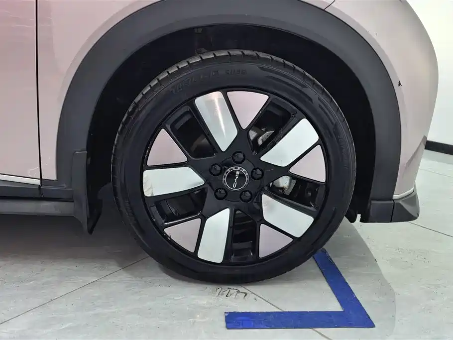 BYD Dolphin 2021 401km Knight Edition фото 6