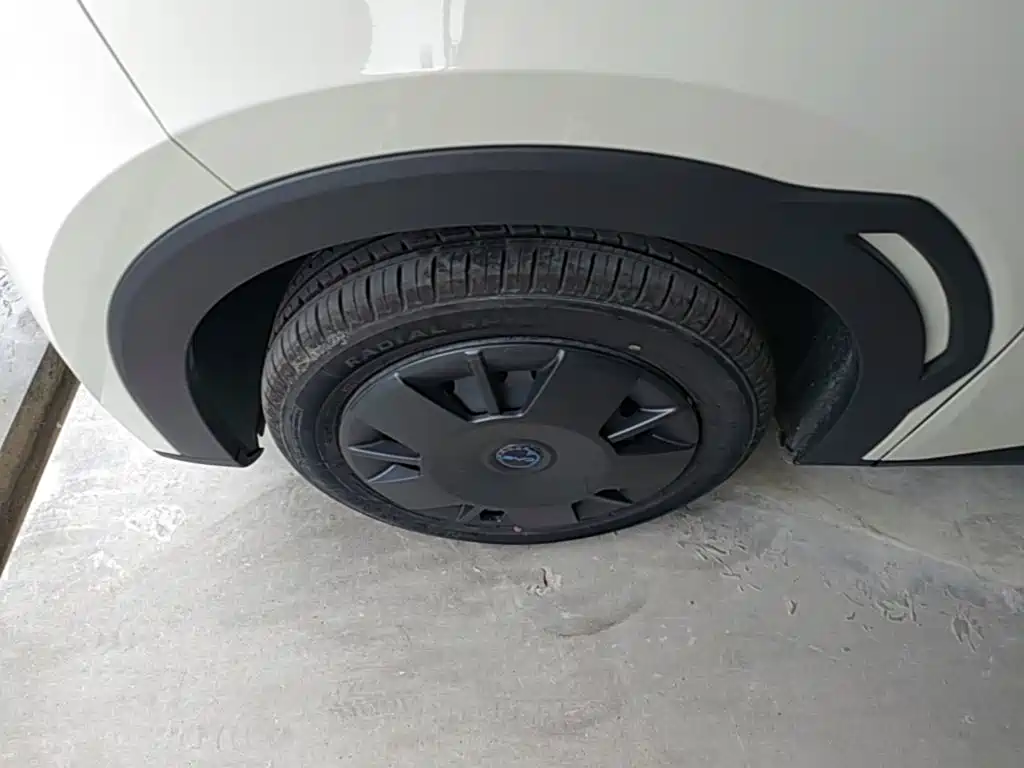 BYD Seagull 2026 2025 Smart Drive Edition 305km Vitality Version