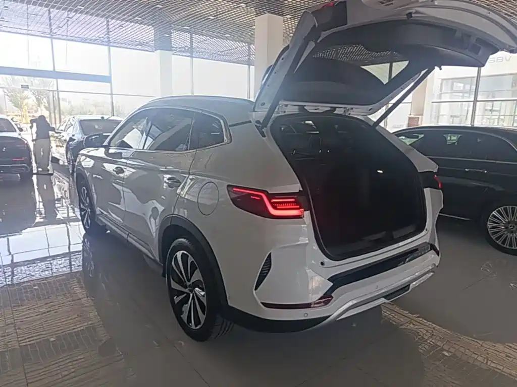 Photo 5 - BYD Song PLUS PHEV