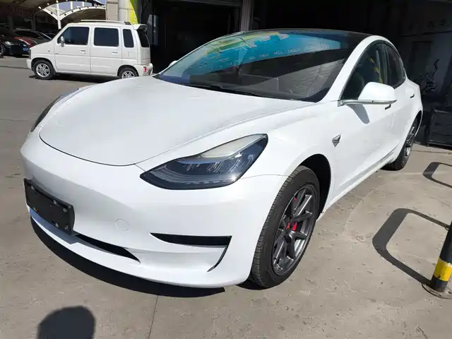 TESLA MODEL 3 2020