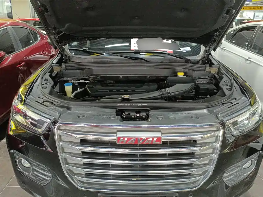 Haval H6 2017 Red Label 2.0T Auto 2WD Smart фото 10