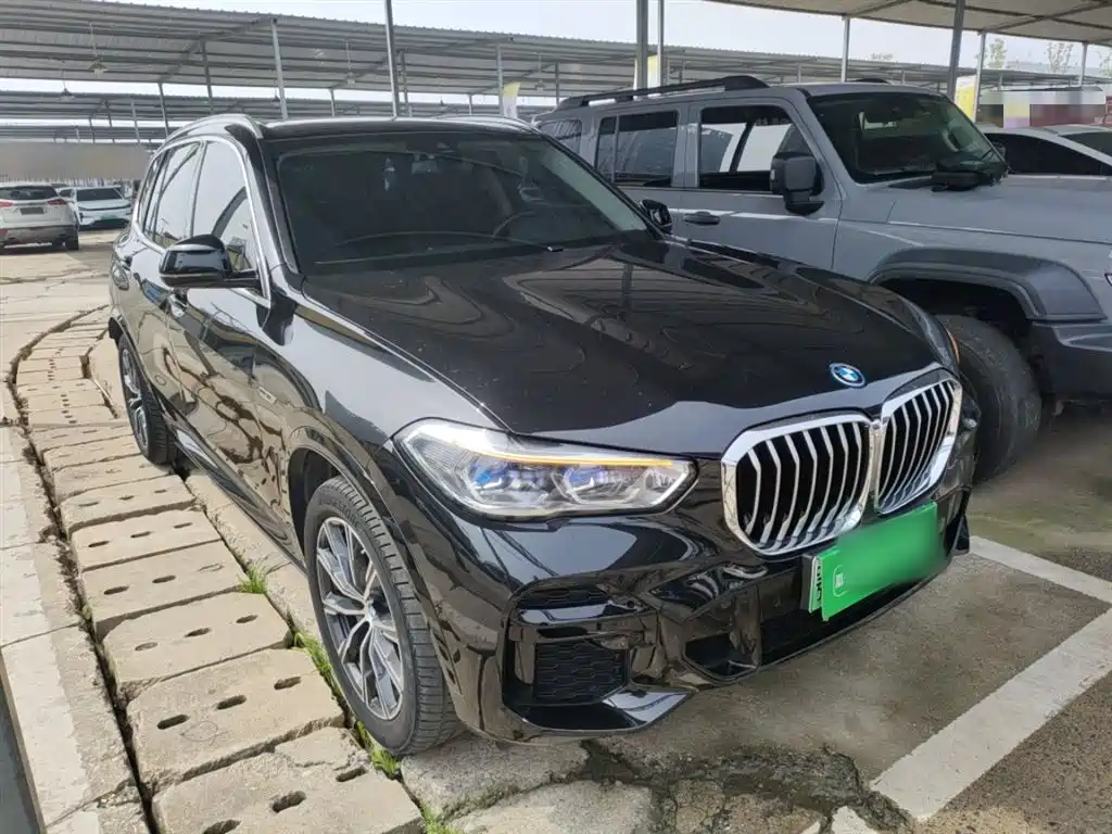 BMW X5 New Energy(Imported) 2021 xDrive45e M Sport Package фото 22