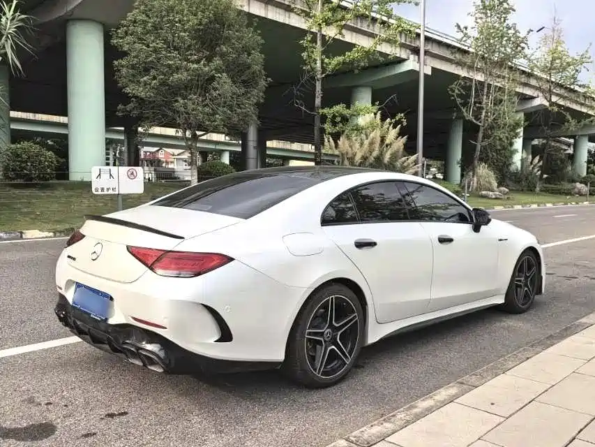 Mercedes-Benz CLS 2021 2021 CLS 300 Luxury