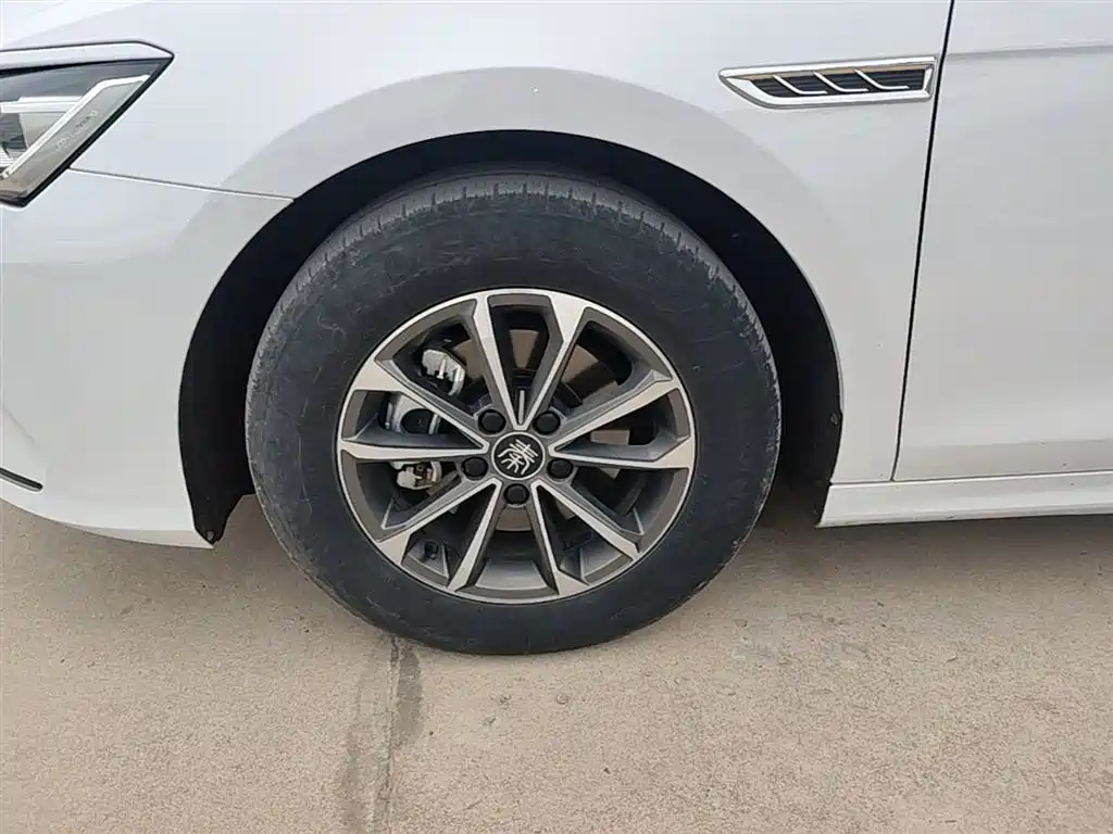 BYD Qin PLUS 2023 Champion Edition DM-i 55KM Leading фото 23