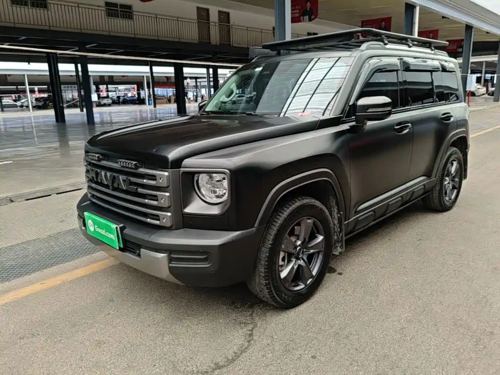 Haval Meng Long NEV 2023 — пригон из Китая