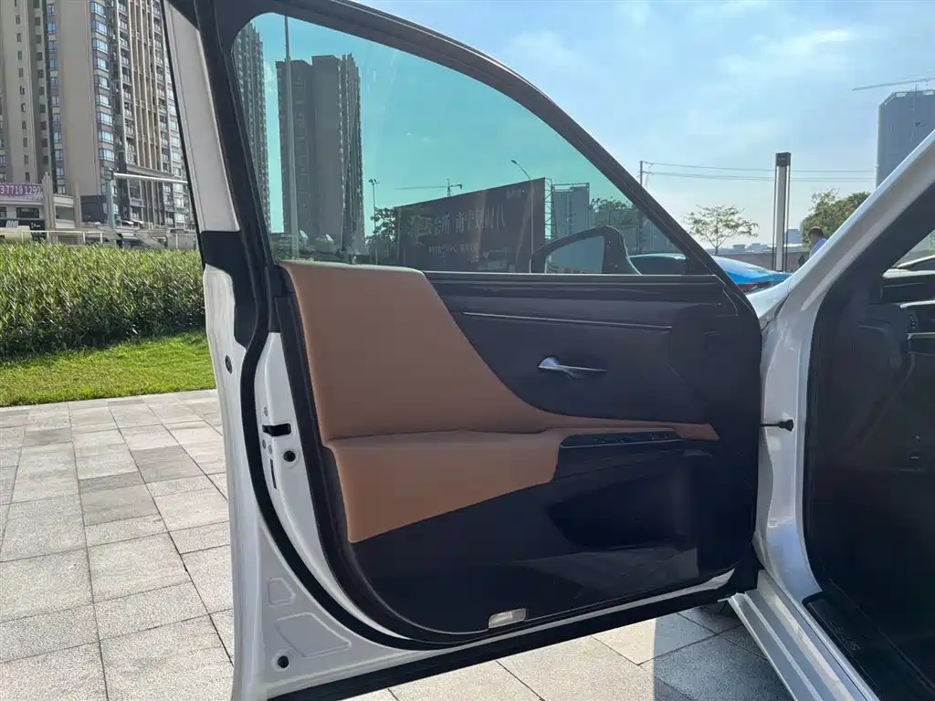 Lexus ES 2020 Model 300h Excellence Edition фото 10