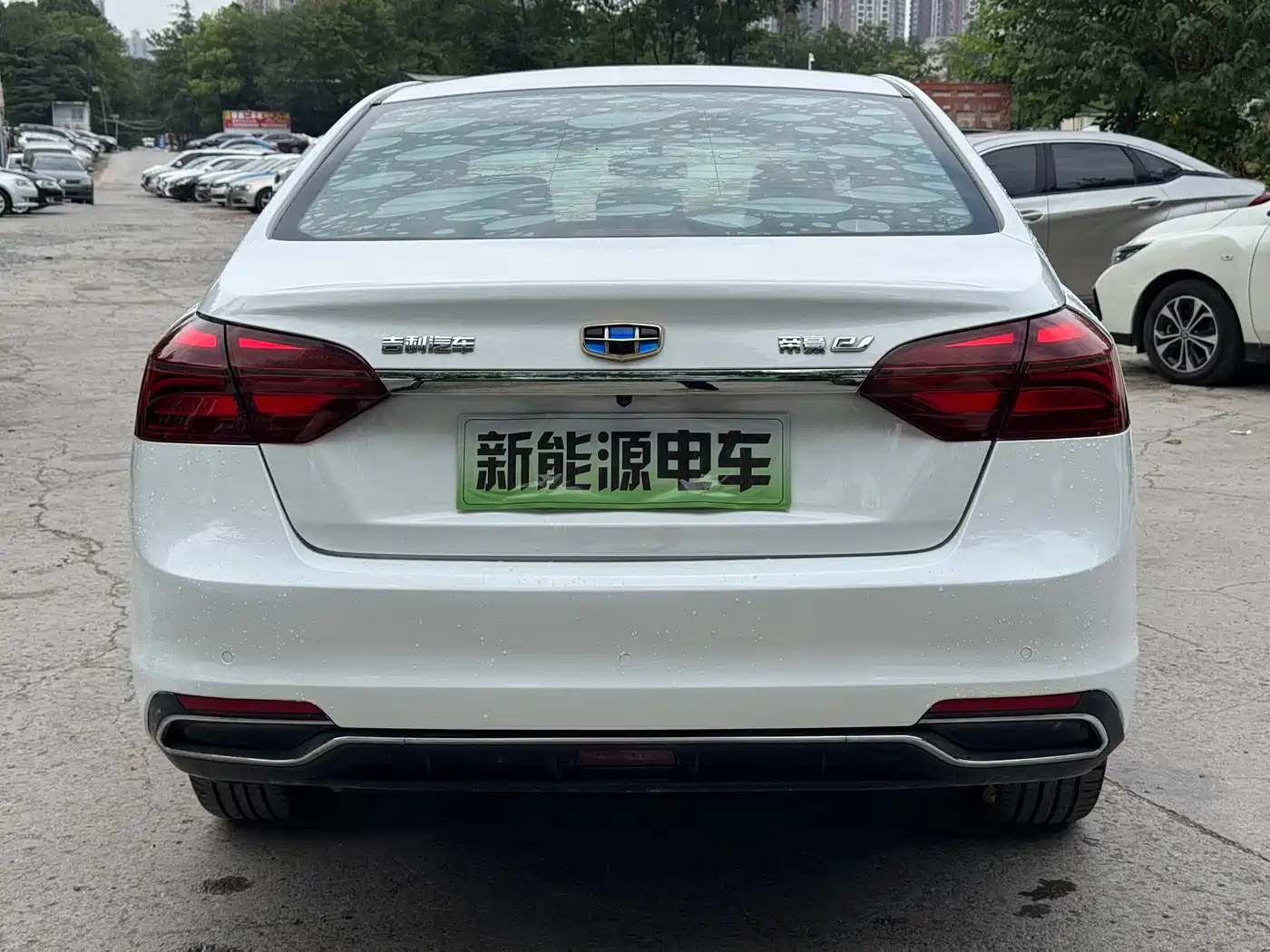 Geely Emgrand New Energy 2019 2018 EV450 Progressive