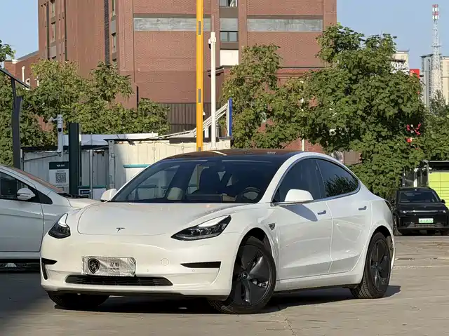 Tesla Model 3 (Import) 2019 Standard Range RWD Upgraded Edition