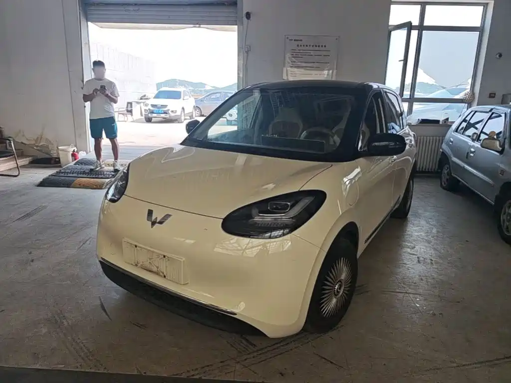  Wuling Motors Wuling Bingo 2025 Model 333km Smart Connect