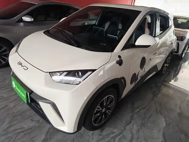 BYD Seagull 2023 Vitality Edition