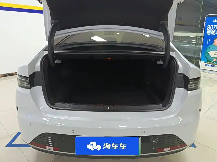 BYD Destroyer 05 2024 2023 Champion Edition DM-i 55KM Luxury