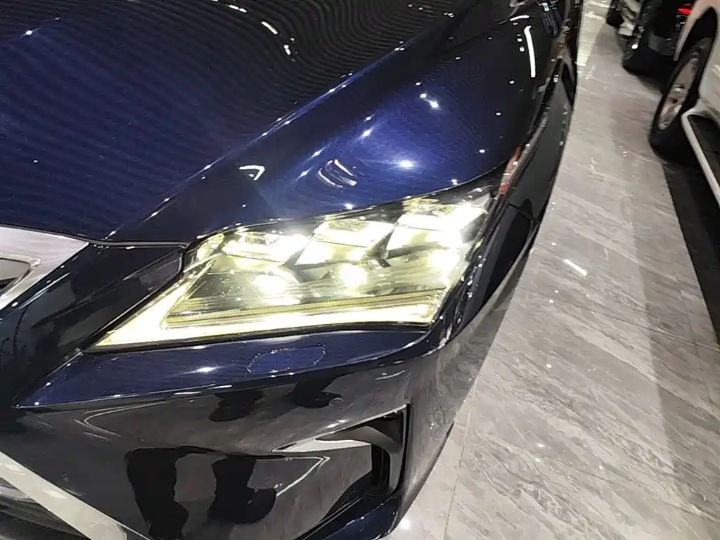 Lexus RX 2016 300 4WD Elegance Edition (China V) фото 24