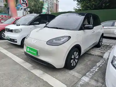 Wuling Bingo