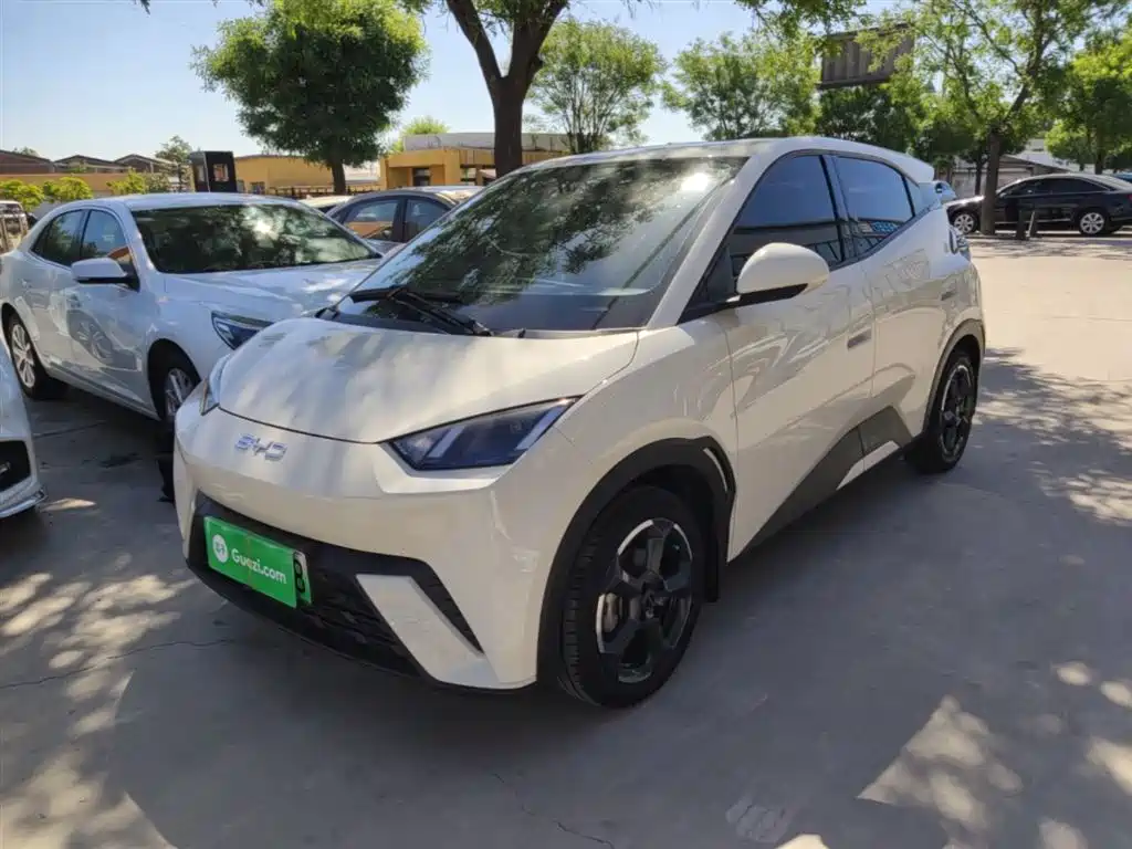 BYD Seagull 2024 Glory Edition 305km Freedom Edition фото 2