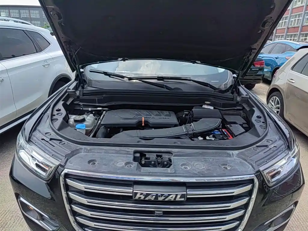 Haval H6 2019 1.5GDIT Automatic Champion Edition China VI фото 20