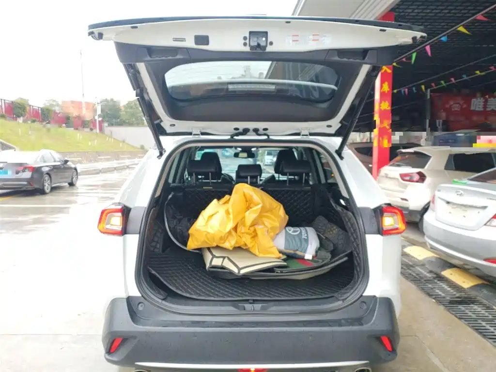 Toyota Wildlander 2022 Hybrid 2.5L E-CVT FWD Premium Edition фото 16
