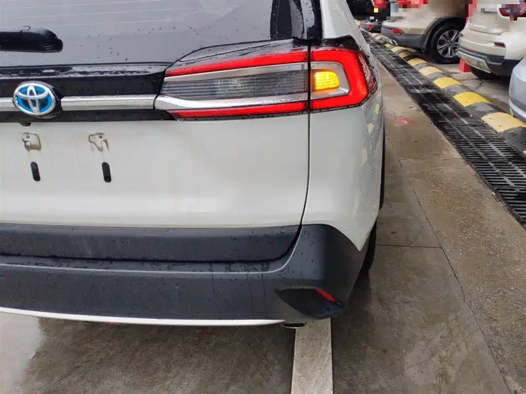 Toyota Wildlander 2022 Hybrid 2.5L E-CVT FWD Premium Edition фото 25