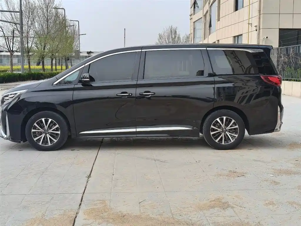GAC Trumpchi Trumpchi M8 2021 Leading Show Series 390T Premium Edition фото 3