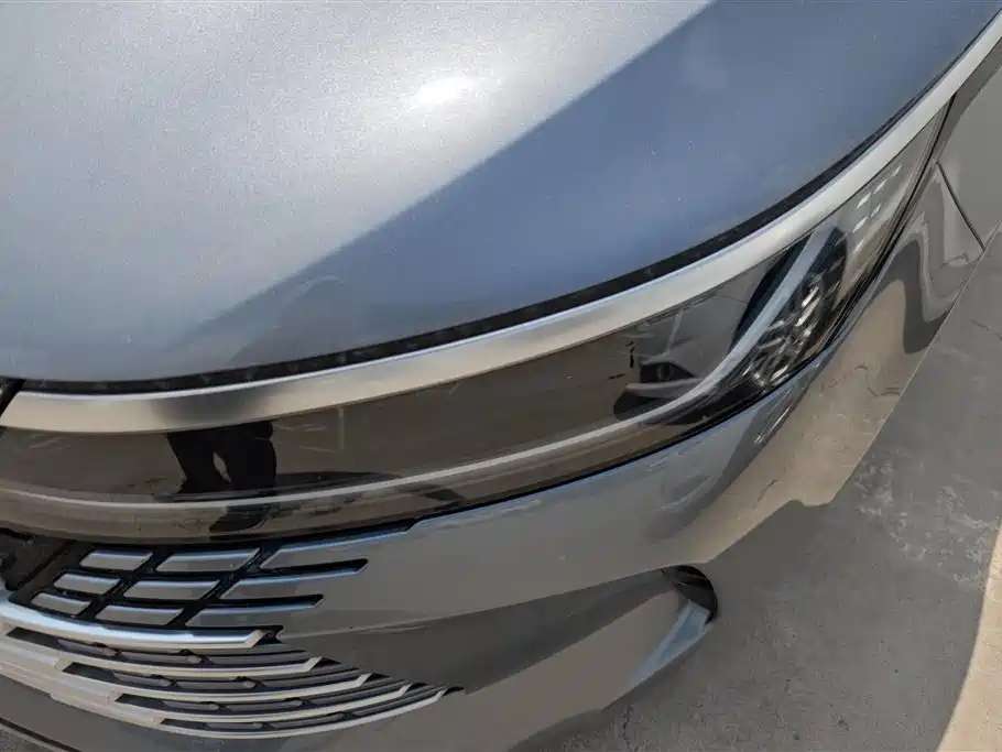BYD Destroyer 05 2024 Glory Edition DM-i 55KM Luxury фото 5