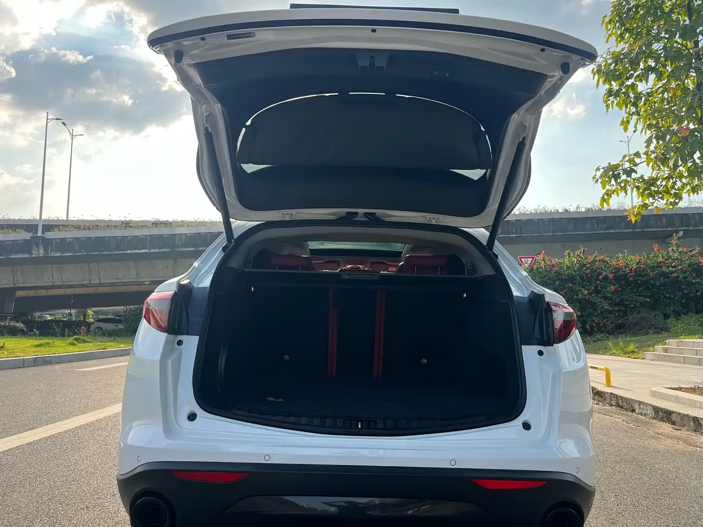 Alfa Romeo Stelvio 2021 2020 2.0T 280HP Luxury Edition