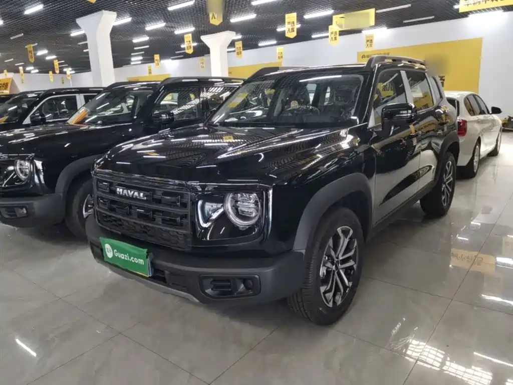Haval Big Dog 2026 Model 1.5T Basic Configuration