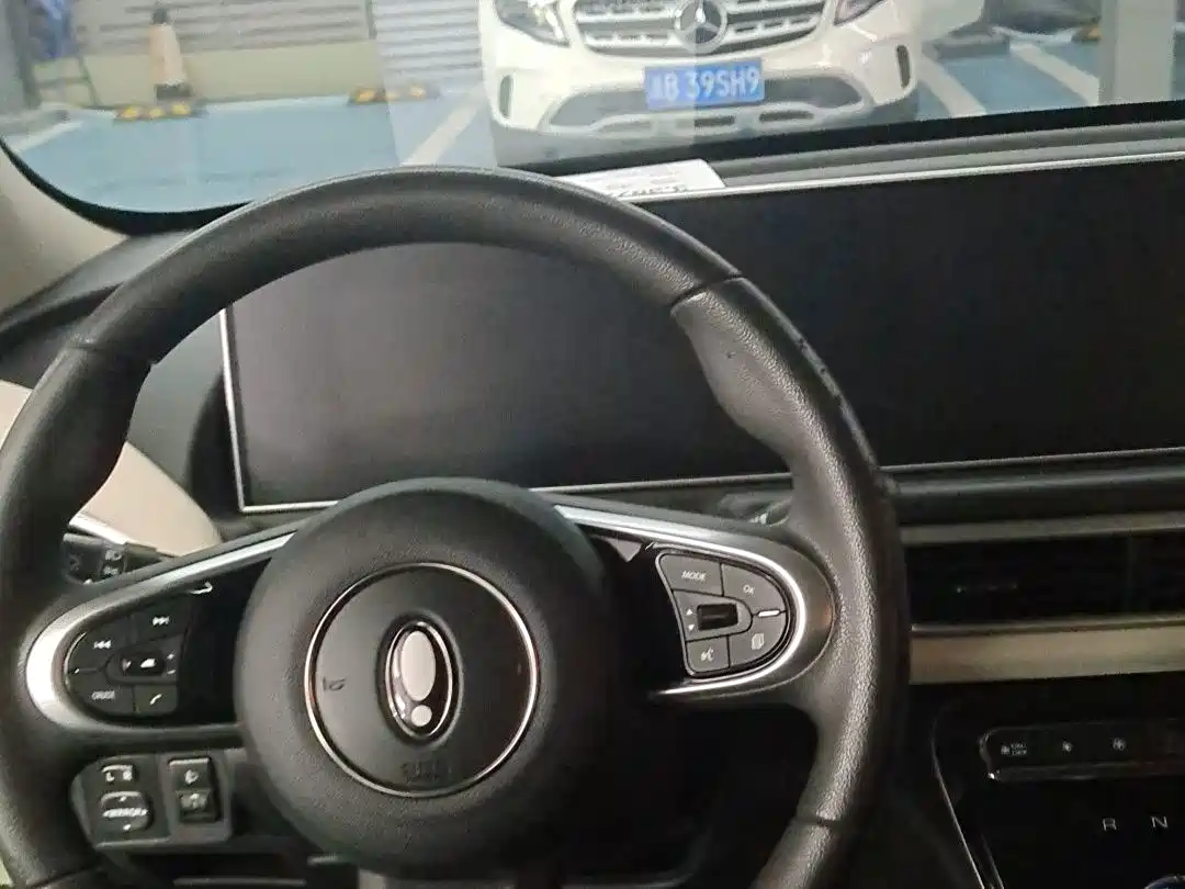 Ora White Cat 2021 2022 Upgraded 305km Luxury Edition LFP