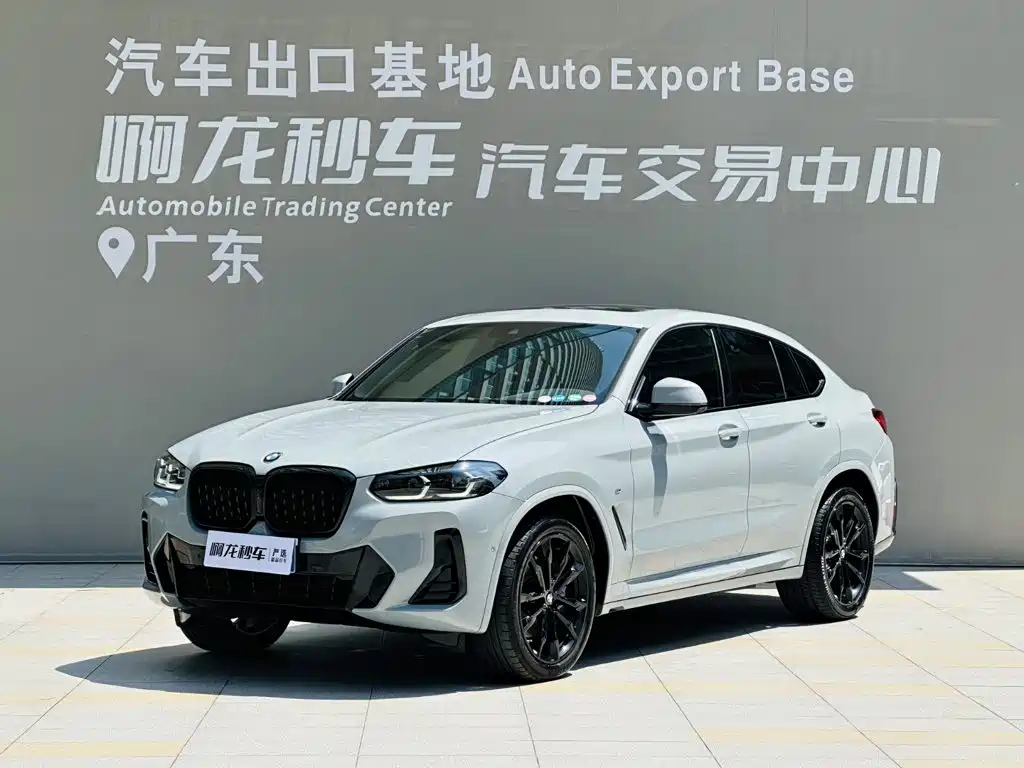BMW X4 2023 2022 xDrive 30i M Sport Blackout Package