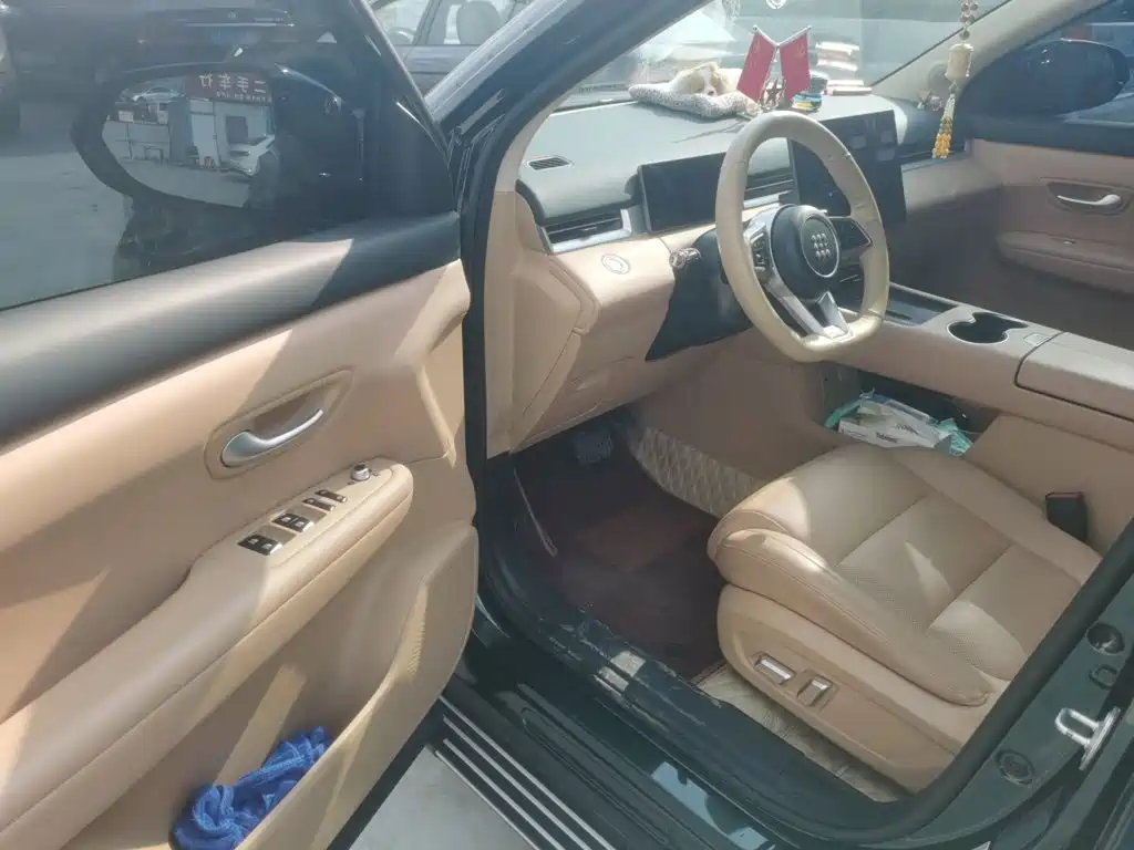Landian E5 PLUS 2024 2025 165km Long Range Pro (5-Seater)