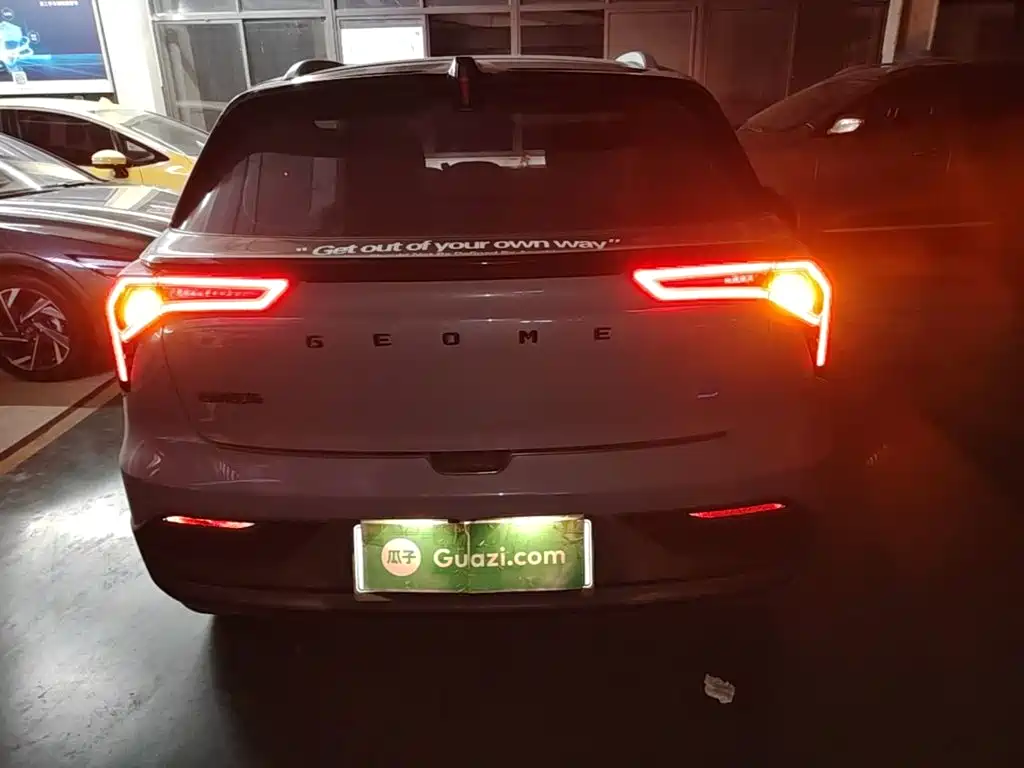 Geely Geometry E Firefly 2024 2024 Model 301km Starlight