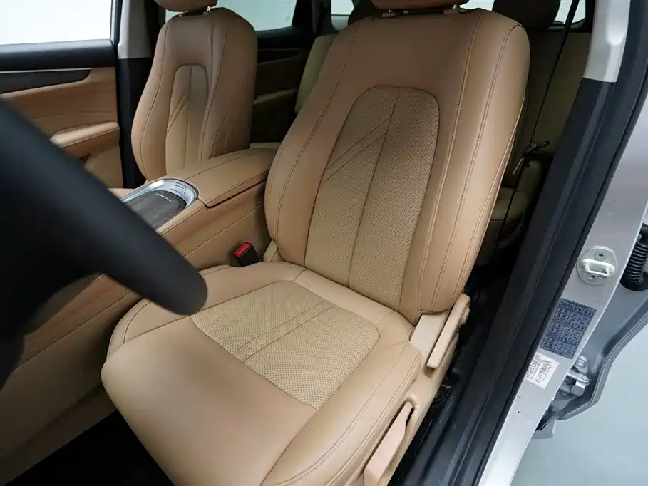 Landian E5 2024 2024 Glory Edition 100KM Comfort Type 7-Seater