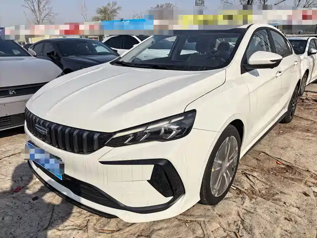 GEELY AUTOMOBILE BINRUI