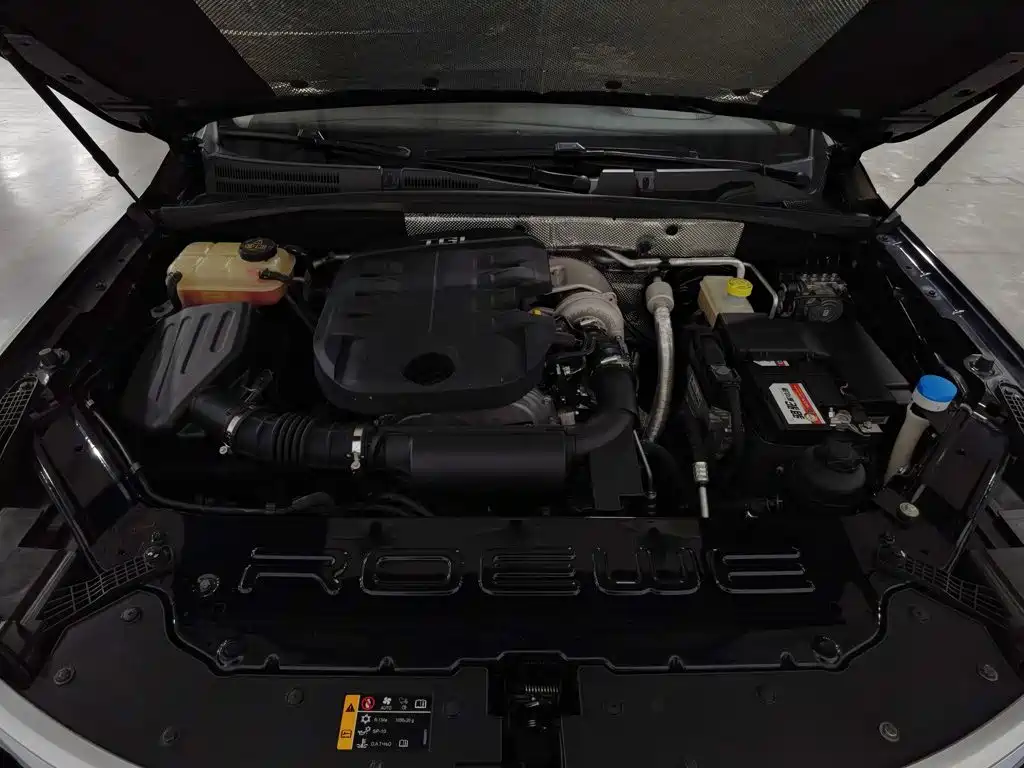 Фото 6 - Roewe RX8