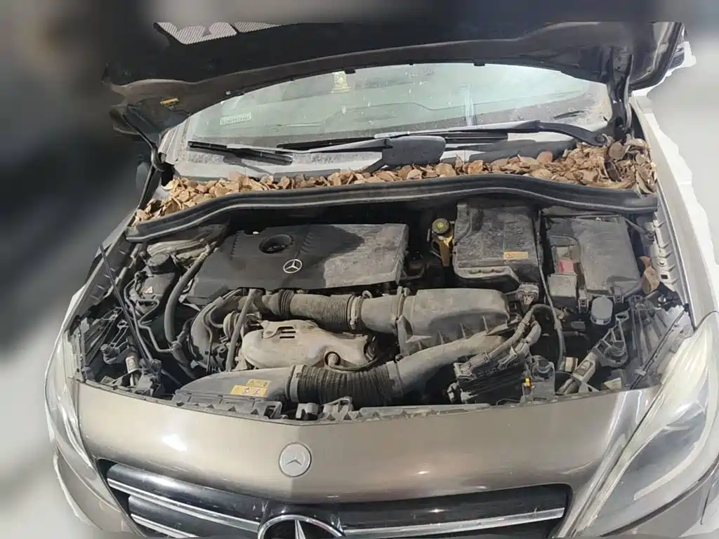 Mercedes-Benz B-Class 2013 2012 B 200