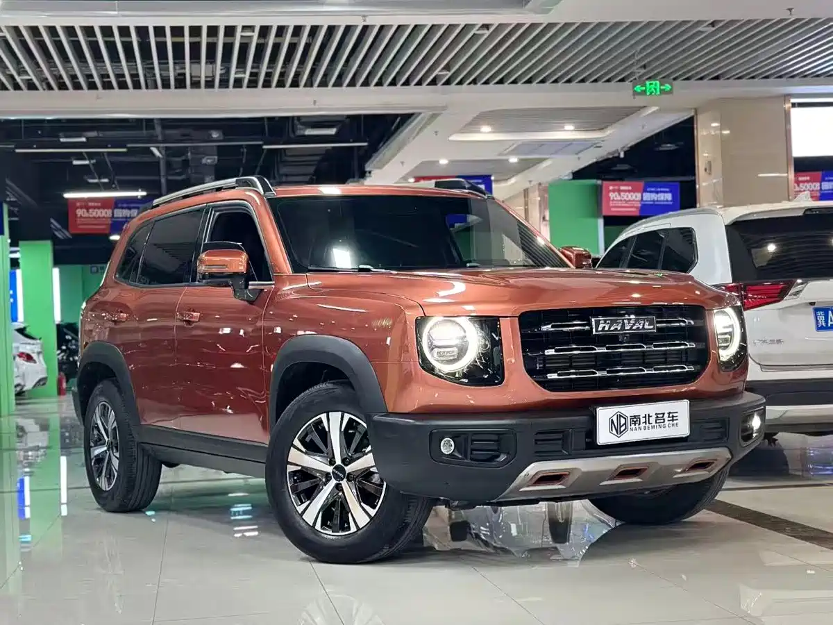 Haval Big Dog 2021 1.5T DCT 2WD Labrador Edition фото 3