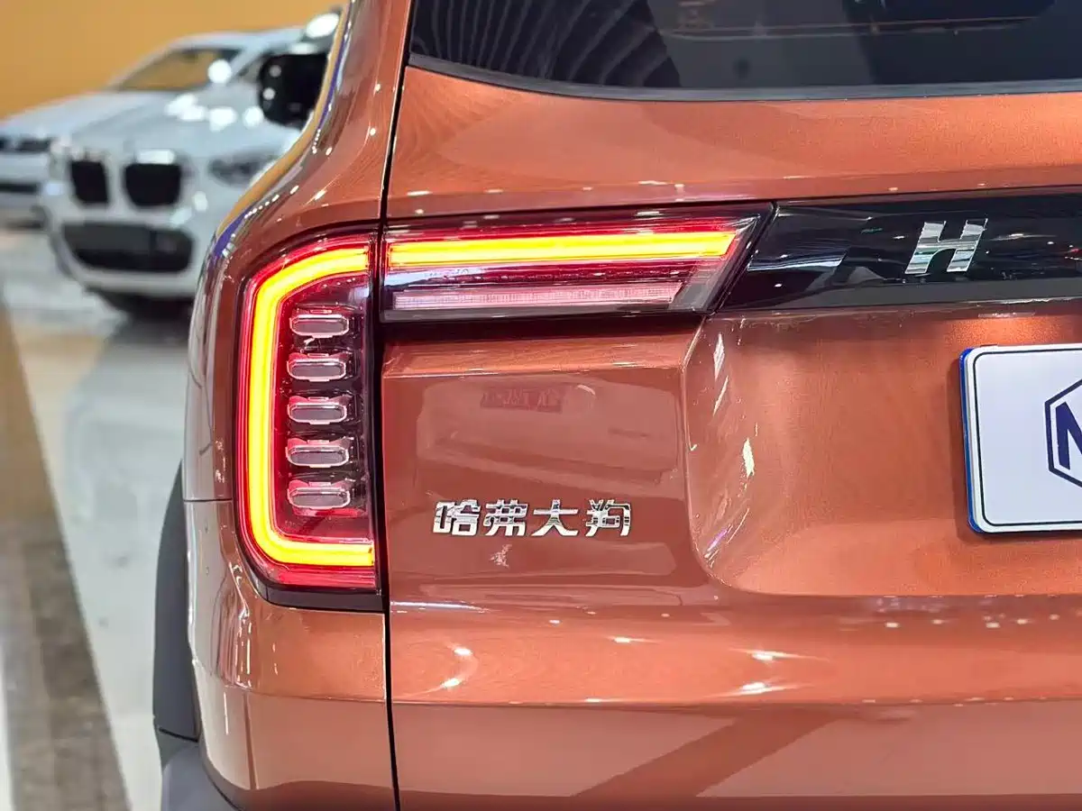 Haval Big Dog 2021 1.5T DCT 2WD Labrador Edition фото 17