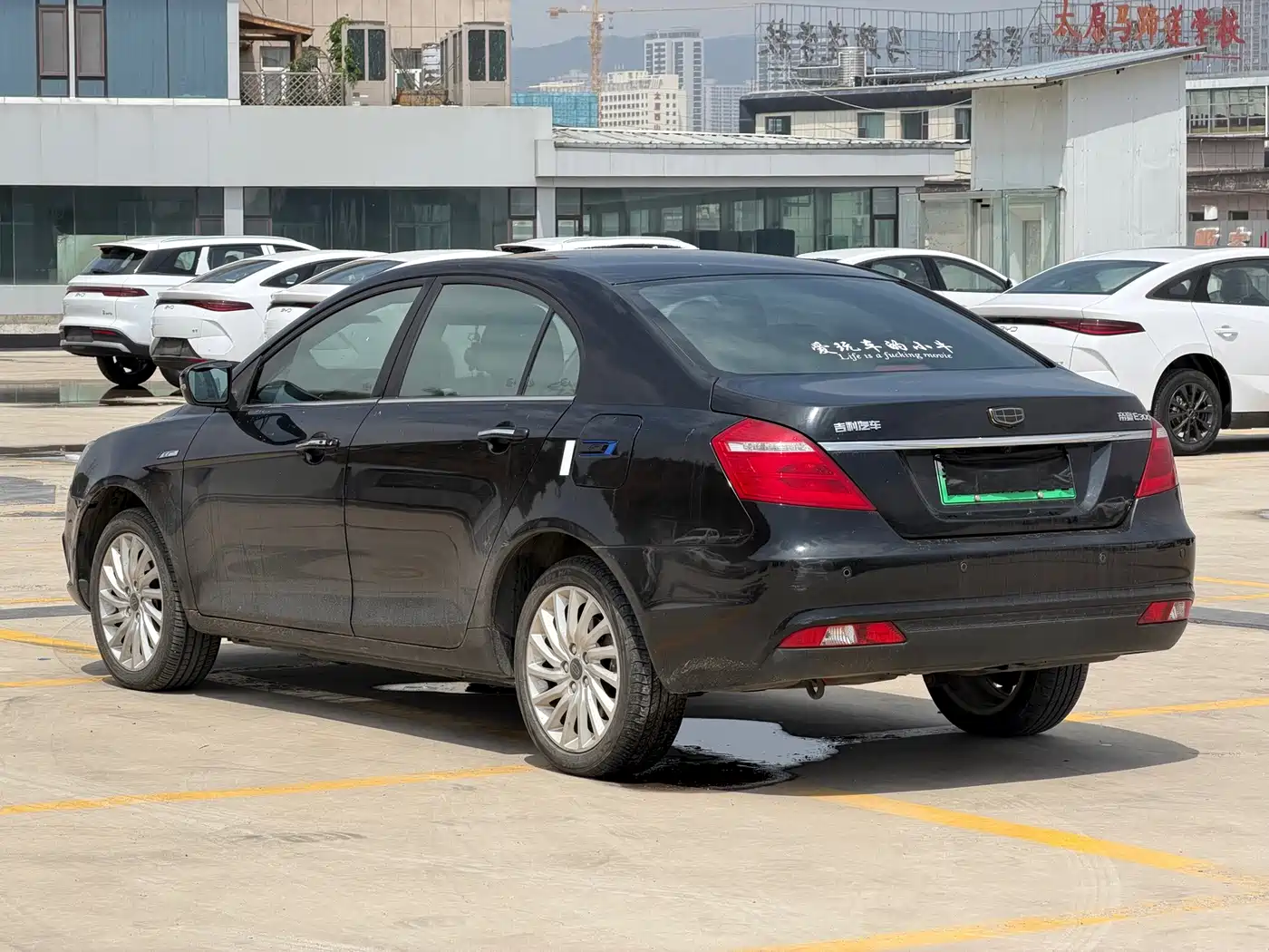 Geely Emgrand New Energy 2017 2017 EV300 Elite