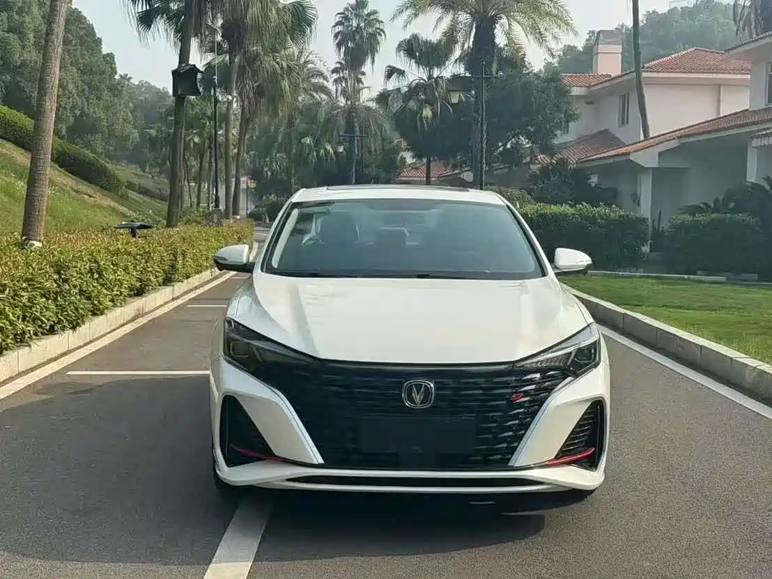 Фото 2 - Changan Eado
