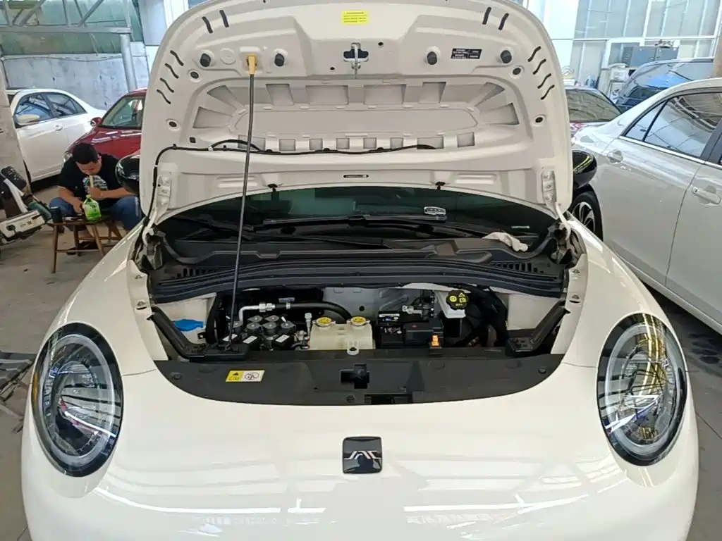 JAC Yiwei Yiwei 3 2023 2023 505km Pro