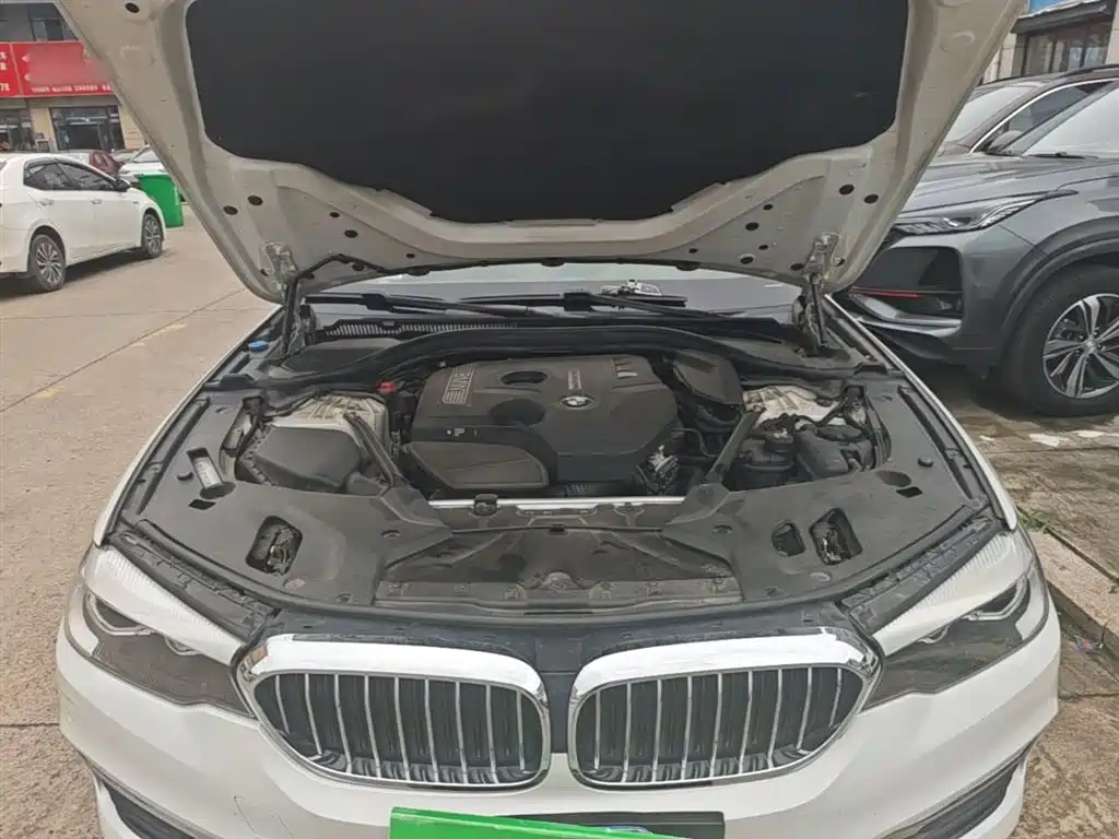 BMW 5 Series 2018 528Li Launch Special Edition фото 20