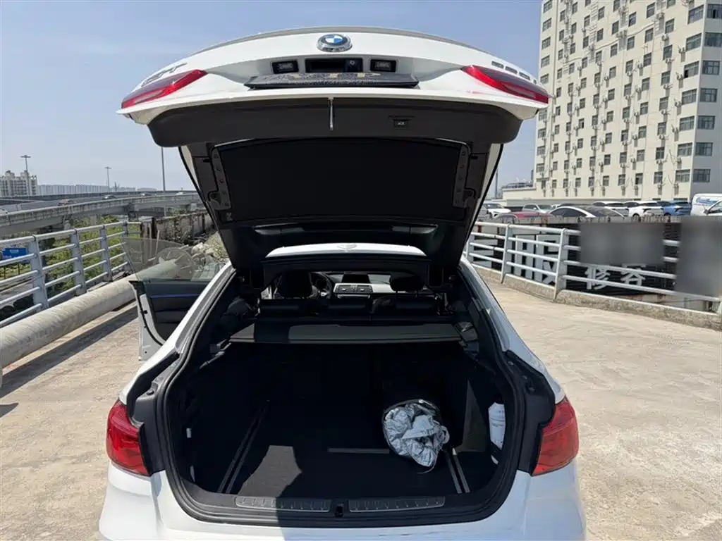 BMW 3 Series GT 2018 320i M Sport фото 10