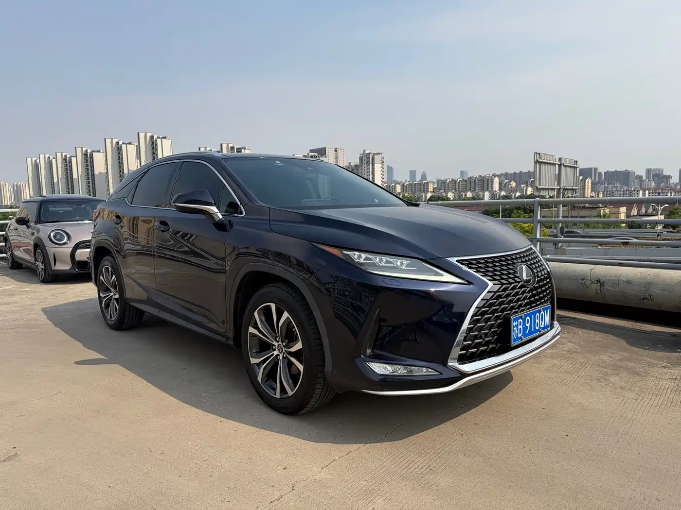 Lexus RX 2020 300 4WD Elegance Edition China VI фото 3