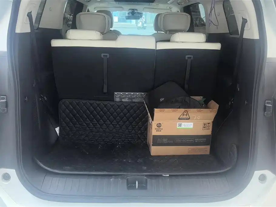 GAC Trumpchi Trumpchi E9 2023 E9 MAX фото 4