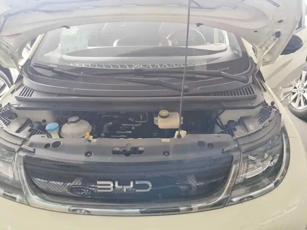 Photo 3 - BYD Dolphin