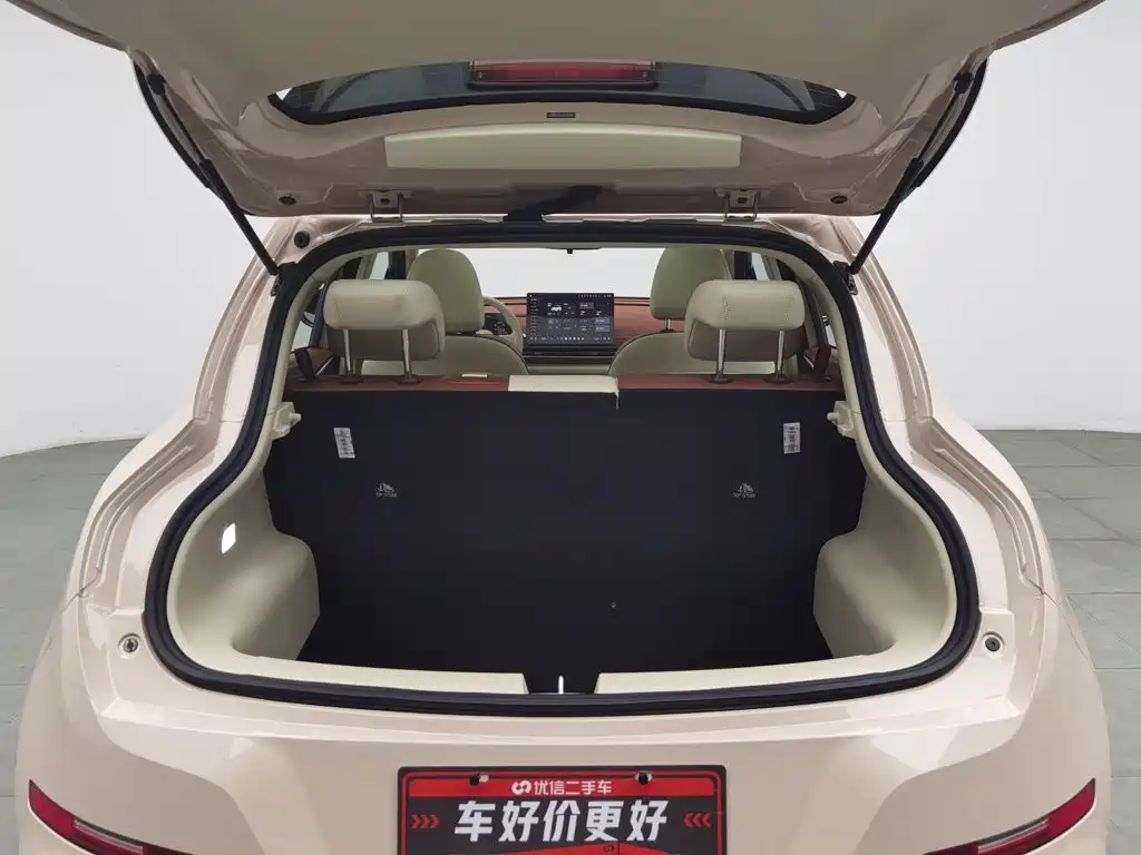 Ora Good Cat 2025 2025 Model 430km Luxury