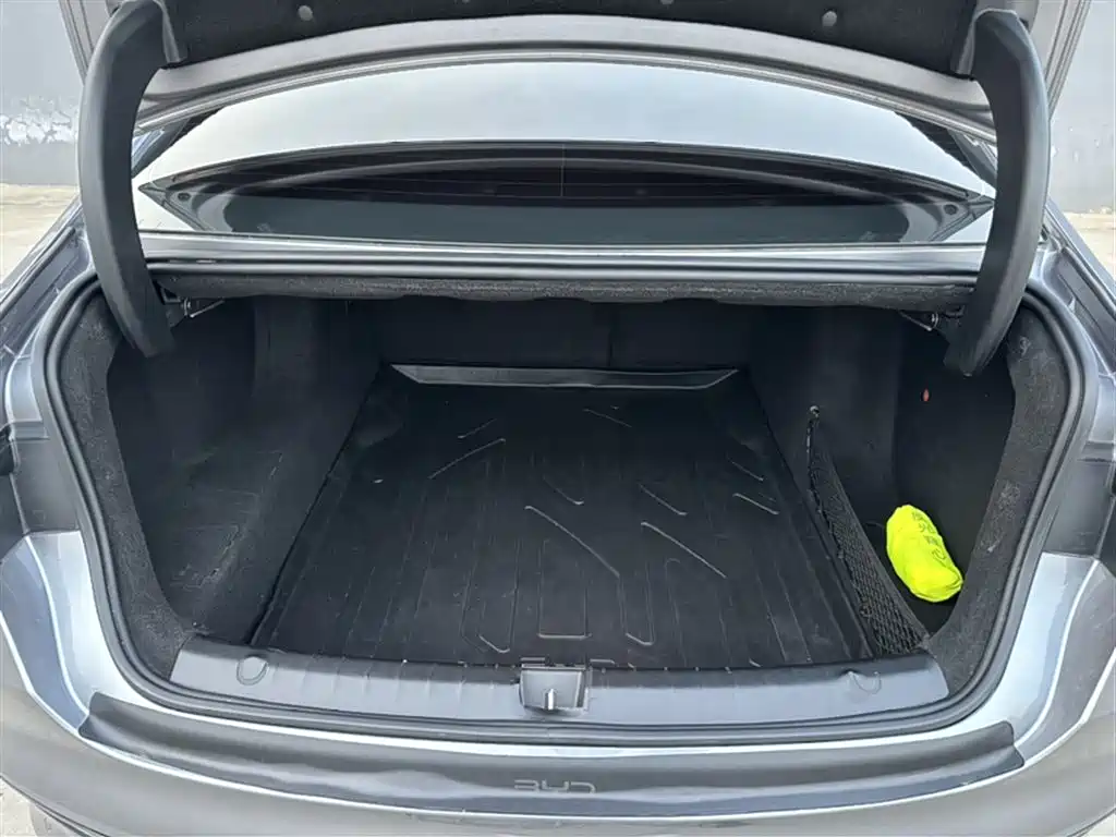 BYD Qin PLUS 2023 Champion Edition DM-i 120KM Excellence фото 10