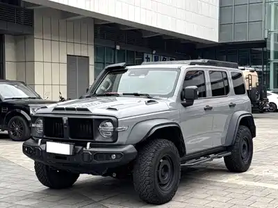 Tank 300