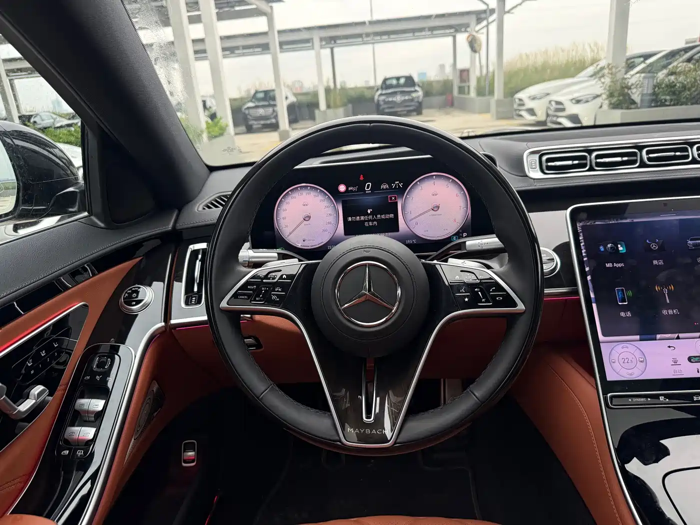 Фото 8 - Mercedes-Benz Maybach S-Class