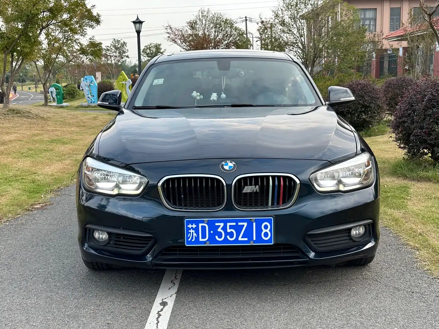 BMW 1 Series (Import) 2016 118i Leading фото 2