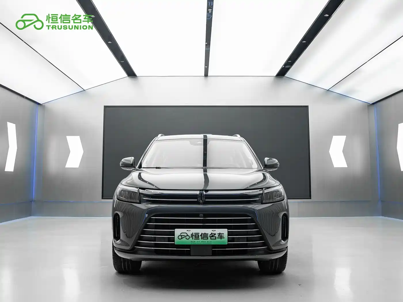 AITO Wenjie AITO M7 2022 1.5T AWD Luxury Edition фото 2