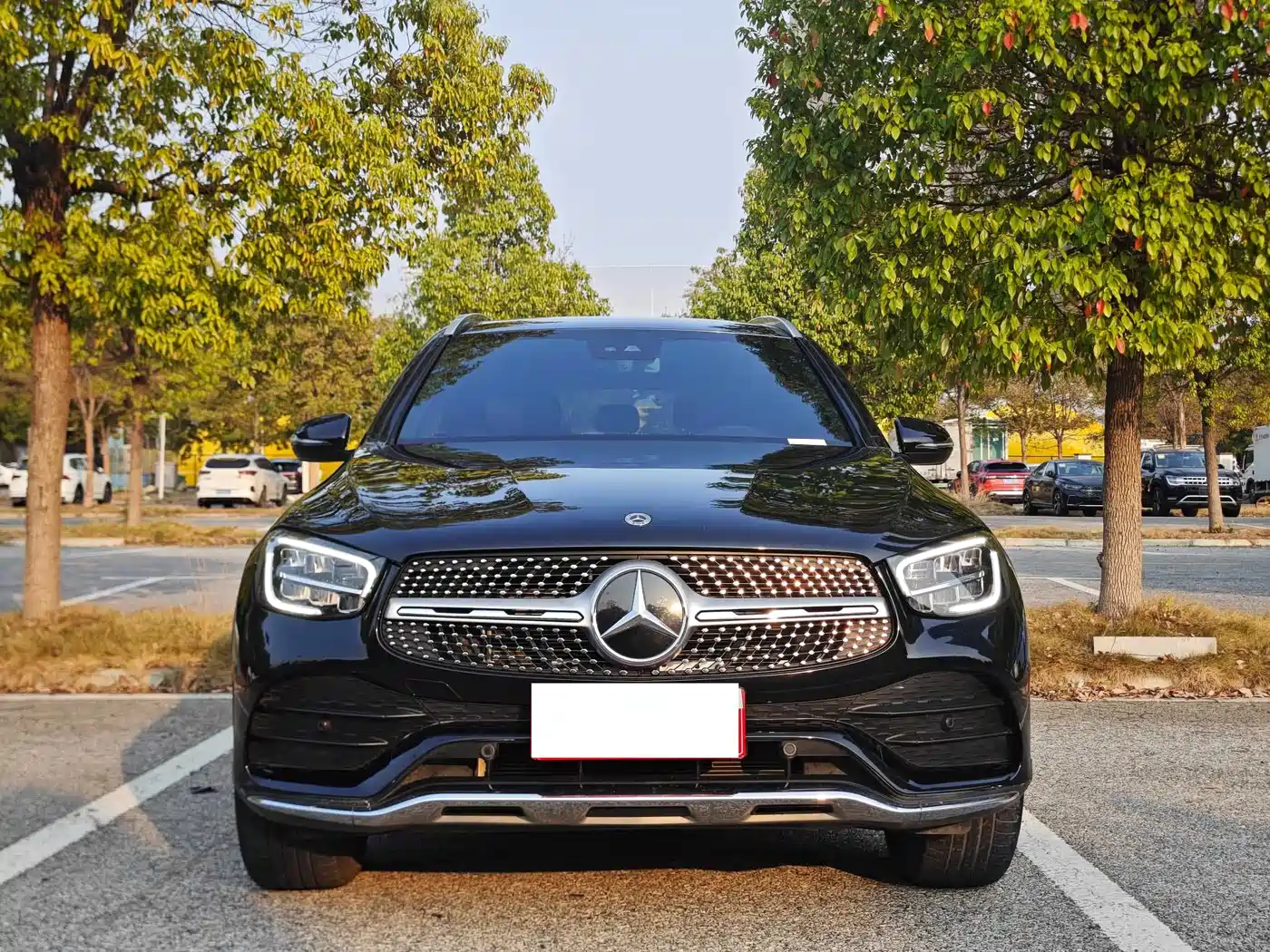 Mercedes-Benz GLC 2022 Model GLC 300 L 4MATIC Dynamic Edition фото 2